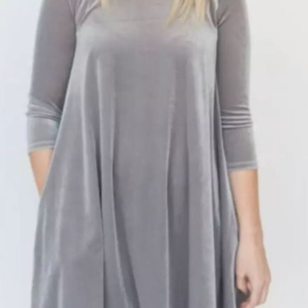 NWT Agnes and Dora Velvet Swing Tunic in Chrome